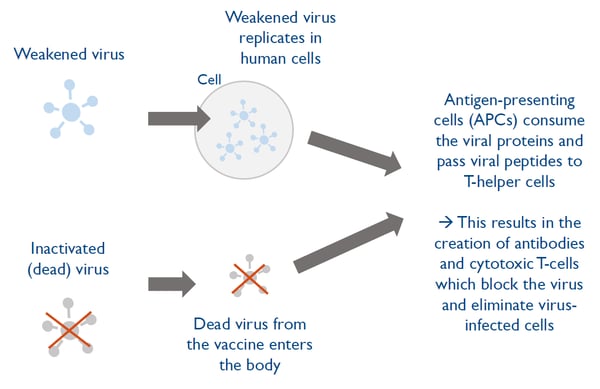 Finding the right vaccine technology